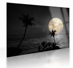 Staklena slika - Plaža pod polno luno v sivih tonih (70x50 cm)