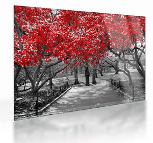Staklena slika - Rdeča drevesa, Central Park, New York (70x50 cm)