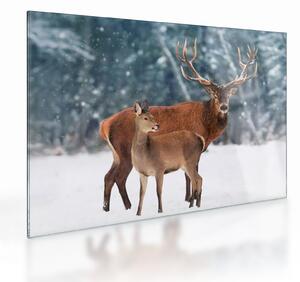 Staklena slika jelena s srno (70x50 cm)