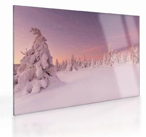 Staklena slika - Drevesa pod snežno odejo (70x50 cm)