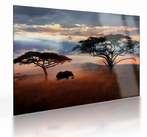 Staklena slika - Nacionalni park Serengeti, Tanzanija, Afrika (70x50 cm)