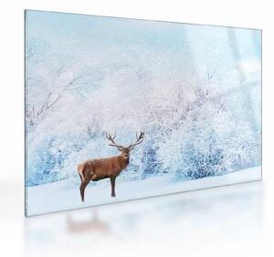 Staklena slika veličastnega jelena (70x50 cm)