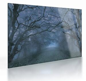 Staklena slika gozda v megli (70x50 cm)