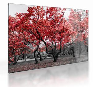 Staklena slika - Rdeča drevesa, Central Park, New York (70x50 cm)