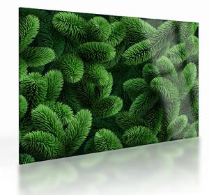 Staklena slika - Vejice iglavcev (70x50 cm)