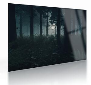 Staklena slika - Praprot v mesečini (70x50 cm)