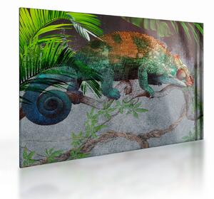 Staklena slika - Kameleon (70x50 cm)