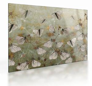 Staklena slika - Vintage metulji (70x50 cm)