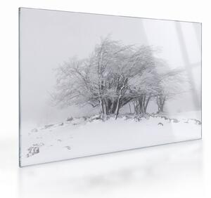 Staklena slika - Bela zima (70x50 cm)