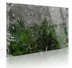 Staklena slika - Betonski zid z rastlinami (70x50 cm)