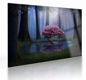 Staklena slika - Čarobna noć (70x50 cm)