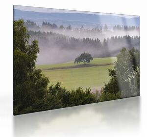 Staklena slika livade sa stablom (70x50 cm)