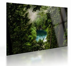 Staklena slika - Pogled između stabala (70x50 cm)