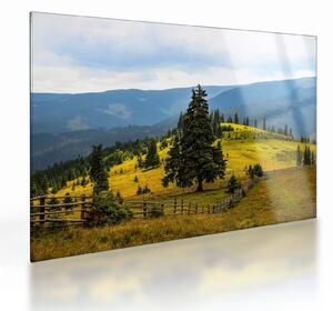 Staklena slika - Planinska livada (70x50 cm)