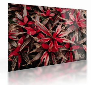 Staklena slika crvenih latica (70x50 cm)