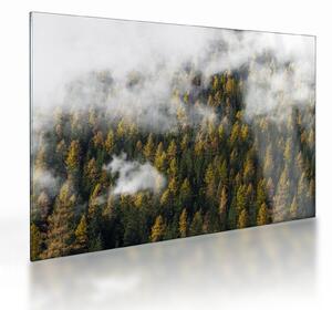 Staklena slika šume u oblacima (70x50 cm)