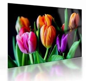 Staklena slika tulipana na crnoj pozadini (70x50 cm)