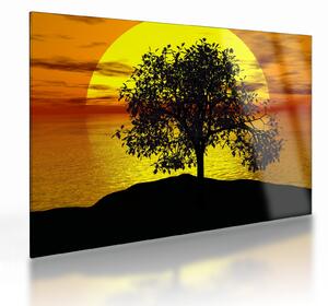 Staklena slika siluete stabla (70x50 cm)