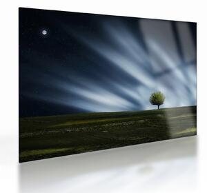 Staklena slika polarne svijetlosti iznad polja vrijeska (70x50 cm)