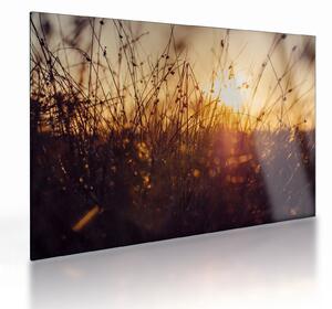 Staklena slika polja pri zalasku sunca (70x50 cm)
