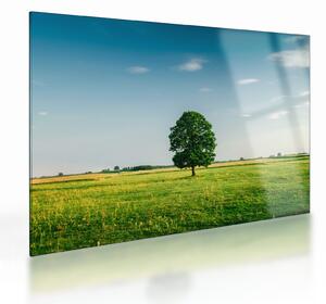 Staklena slika stabla usred livade (70x50 cm)