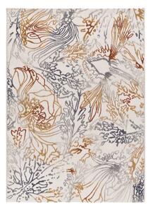 Tepih 80x150 cm Amara – Universal