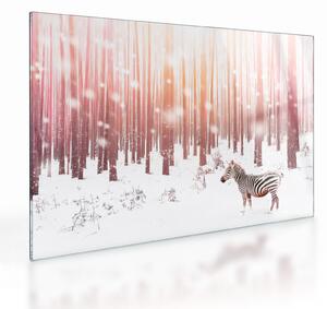 Staklena slika - Zebra u snježnoj šumi (70x50 cm)
