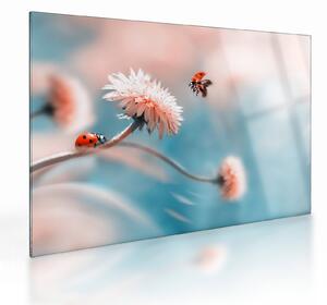 Staklena slika - Bubamare na cvijetu (70x50 cm)