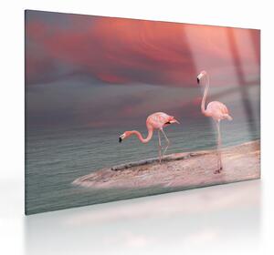 Staklena slika Flaminga (70x50 cm)