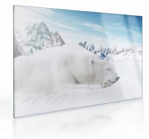 Staklena slika - Polarni medvjed (70x50 cm)