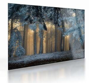 Staklena slika snježne šume (70x50 cm)