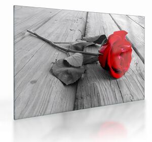 Staklena slika crvene ruže (70x50 cm)