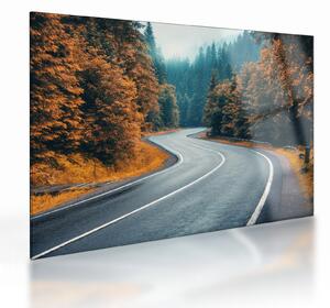 Staklena slika - Vijugava cesta (70x50 cm)