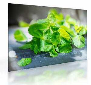 Staklena slika metvice (70x50 cm)