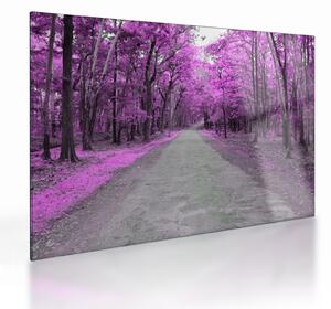 Staklena slika - Put kroz park (70x50 cm)
