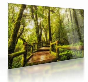 Staklena slika džungle i mahovine (70x50 cm)
