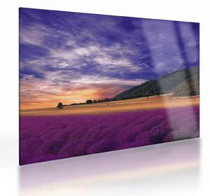 Staklena slika livade sa lavandom (70x50 cm)