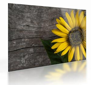 Staklena slika - Cvijet suncokreta (70x50 cm)