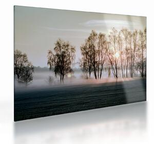 Staklena slika - Vlažno i prohladno jutro (70x50 cm)