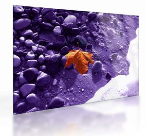Staklena slika - Morska plaža (70x50 cm)