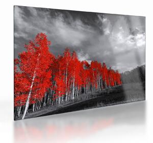 Staklena slika - Drveće u jesenskim bojama (70x50 cm)