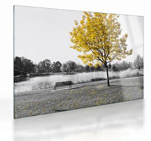 Staklena slika - Odmor u parku (70x50 cm)