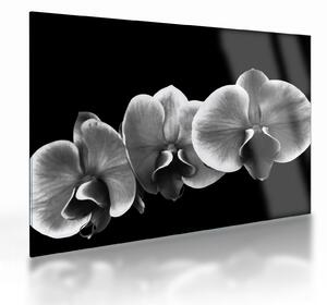 Staklena slika cvijeta orhideje (70x50 cm)