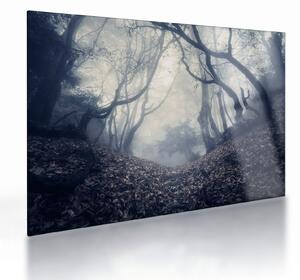Staklena slika - Šuma u magli (70x50 cm)