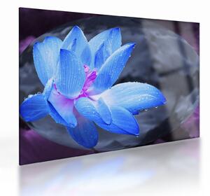 Staklena slika detalj cvijeta (70x50 cm)