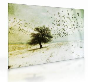 Staklena slika - Naslikano jato ptica (70x50 cm)