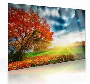 Staklena slika krajolika okupanog sunčevom svjetlošću (70x50 cm)