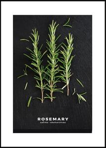 Slika 50x70 cm Rosemary – Styler