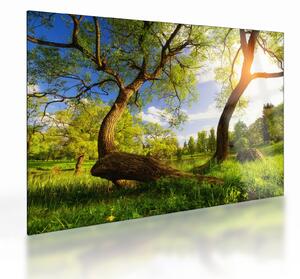 Staklena slika proljetne livade (70x50 cm)