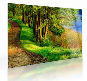 Staklena slika staze uz vodu (70x50 cm)